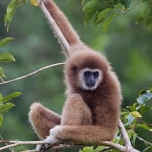 אביב - תמונה אביב - תמונה