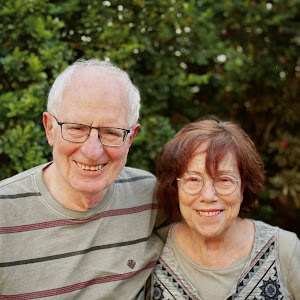 ציפי - תמונה ציפי - תמונה