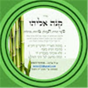 אייל - תמונה