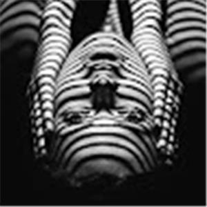 ולאד - תמונה