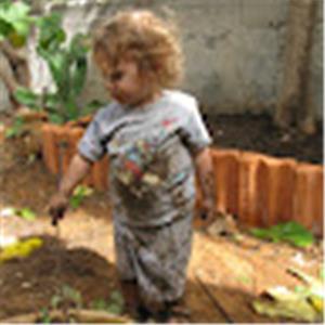 p - תמונה p - תמונה