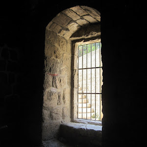 חיים - תמונה