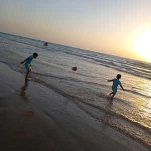 טוני - תמונה