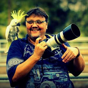 שלומי - תמונה