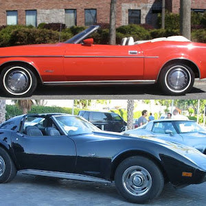 אמיר - תמונה