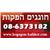 חוגגים - תמונה חוגגים - תמונה