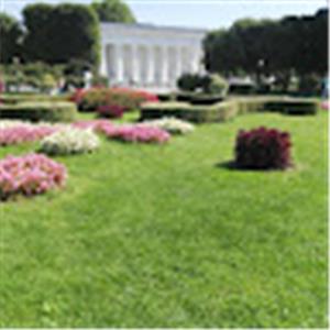 מייק - תמונה