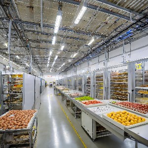 יונתן - תמונה