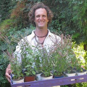 Amir Cohen - תמונה Amir Cohen - תמונה