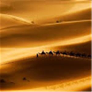 יהודה - תמונה