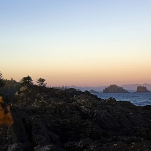 יהודה - תמונה