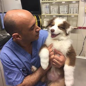 Ofer - תמונה Ofer - תמונה