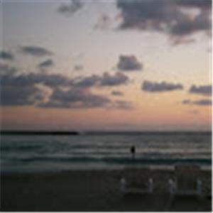 יוני - תמונה יוני - תמונה
