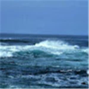 שעונים - תמונה שעונים - תמונה