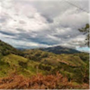 dking - תמונה dking - תמונה