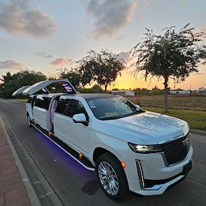 לירון - תמונה