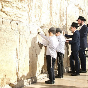 nir - תמונה nir - תמונה