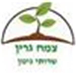 צמח גרין - תמונה צמח גרין - תמונה