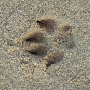 hadar280 - תמונה