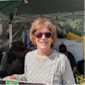 מיכל - תמונה