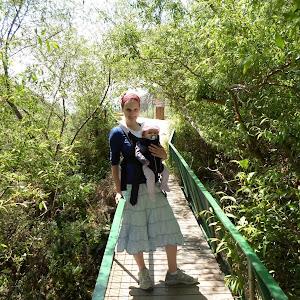 ניצן - תמונה