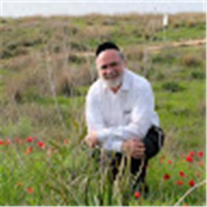 מיכאל פלוג - תמונה