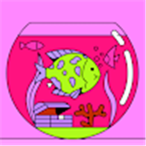 רינה - תמונה