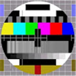 אורן - תמונה אורן - תמונה