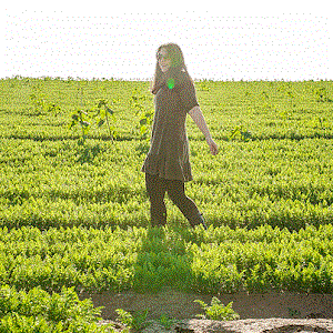 סטודיו פולי - צילום - תמונה סטודיו פולי - צילום - תמונה