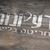 אנג'ליקה - תמונה אנג'ליקה - תמונה