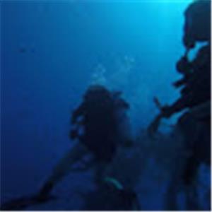 דורון - תמונה