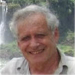 פאלק - תמונה פאלק - תמונה