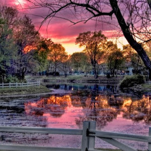 007blt - תמונה 007blt - תמונה