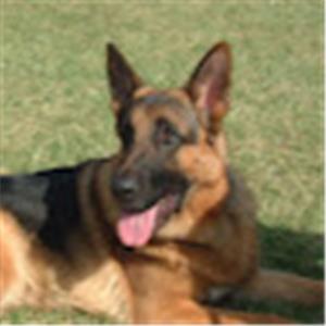 udikatin - תמונה udikatin - תמונה