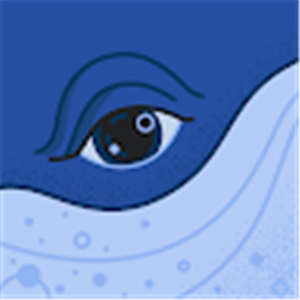 אלכס - תמונה אלכס - תמונה