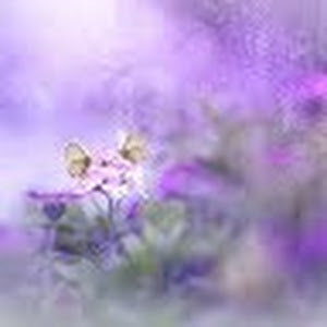 מי - תמונה מי - תמונה