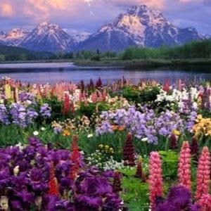 אילנה גבאי-מאמנת אישית - תמונה