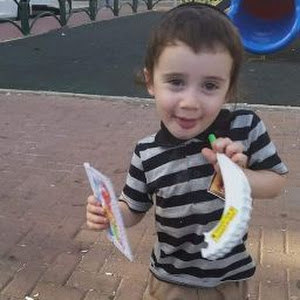 צוגי - תמונה צוגי - תמונה