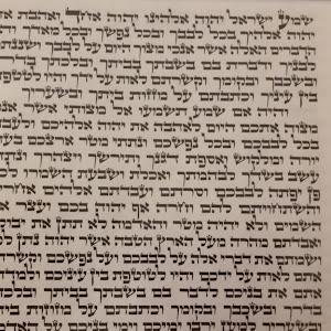 אלכס - תמונה אלכס - תמונה