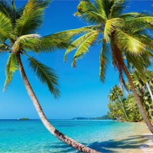 נהנה - תמונה