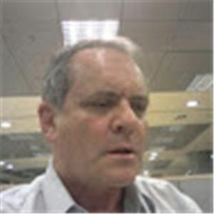 David - תמונה David - תמונה