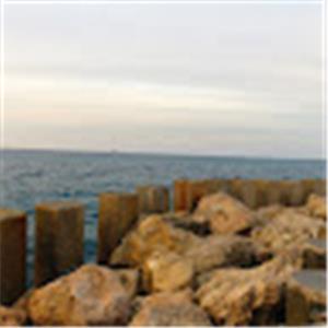 מוסד ישראלי - תמונה מוסד ישראלי - תמונה