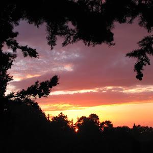 Geekphotographer - תמונה Geekphotographer - תמונה