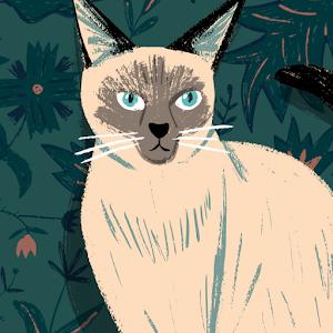 סבטלנה - תמונה