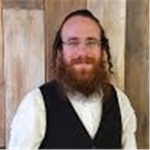 David - תמונה David - תמונה