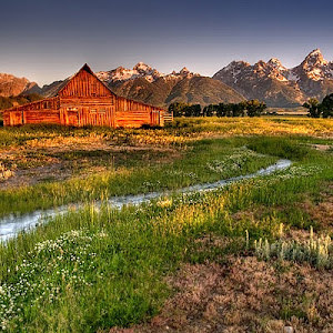 ראובן - תמונה