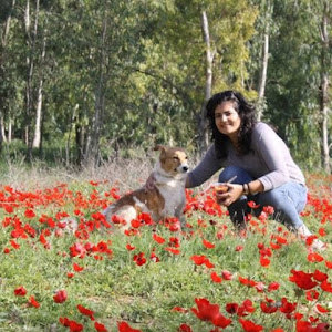 mekere19 - תמונה